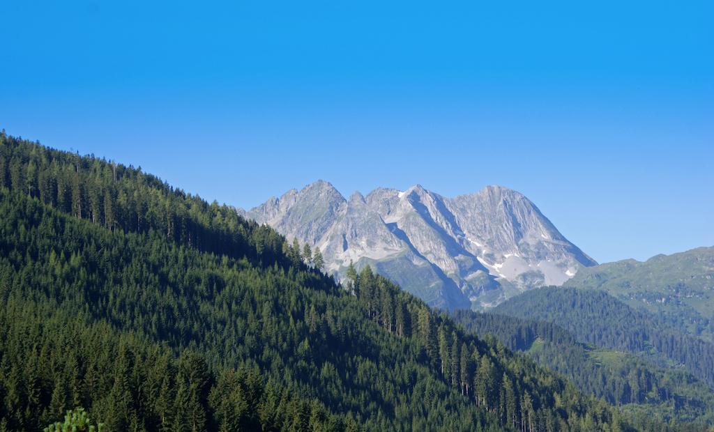 Gasthof Riederhof แกร์ลอส ห้อง รูปภาพ